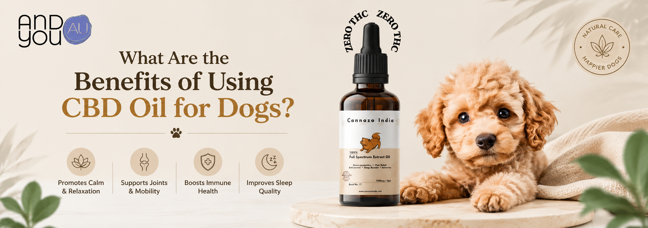 What Are the Benefits of Using CBD Oil for Dogs?