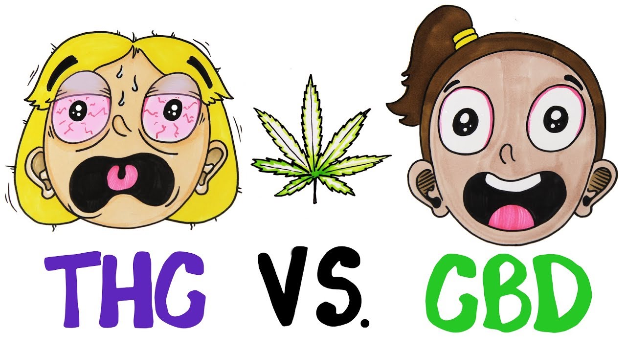 CBD vs. THC: What Are the Differences?
