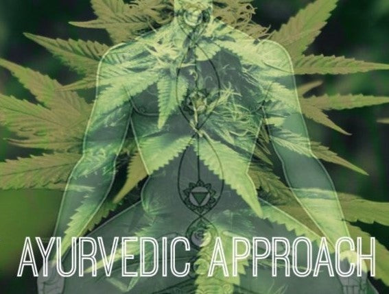 Cannabis: The Ayurvedic Approach