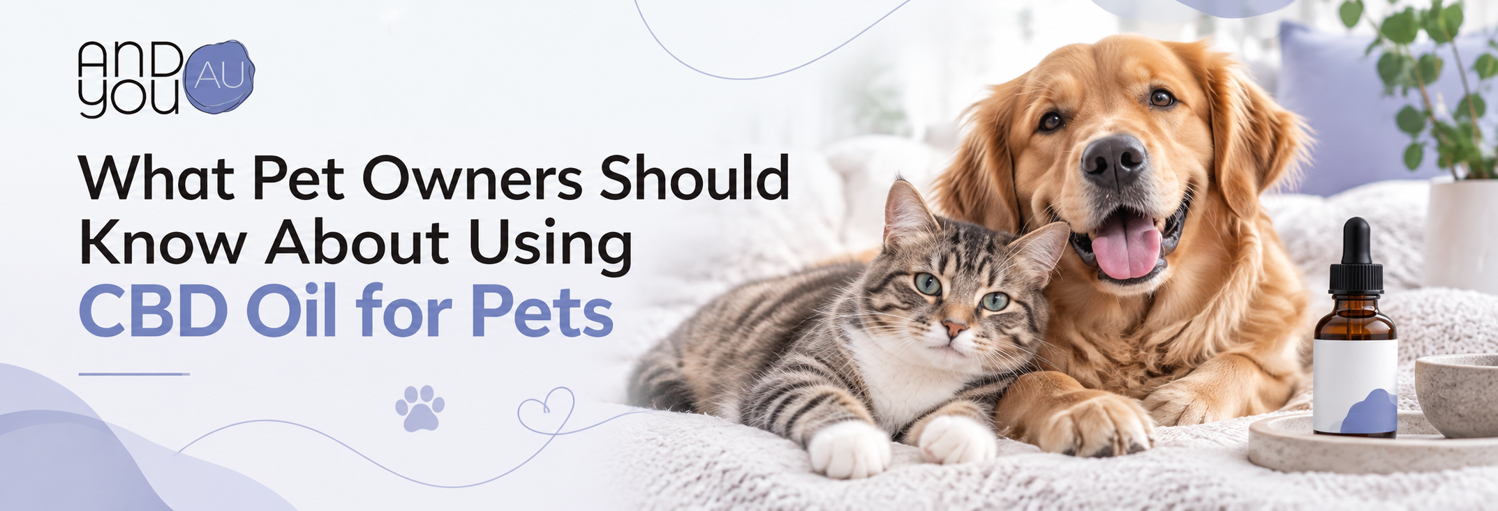 What Pet Owners Should Know About Using CBD Oil for Pets