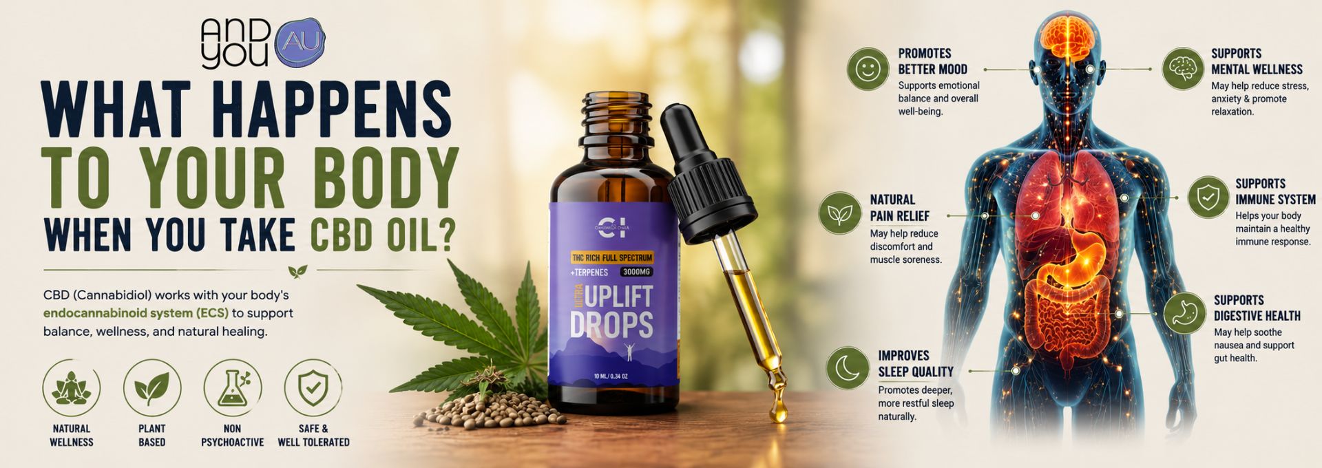 What Happens to Your Body When You Take CBD Oil?