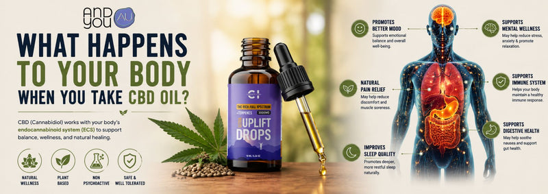 What Happens to Your Body When You Take CBD Oil?