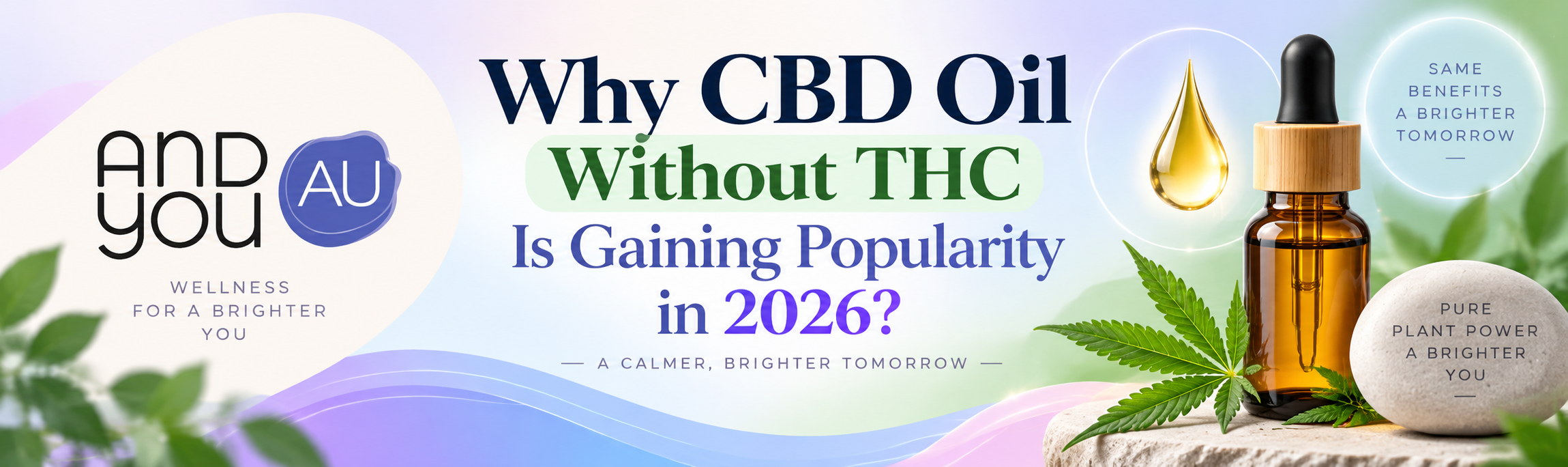 Why CBD Oil Without THC Is Gaining Popularity in 2026?