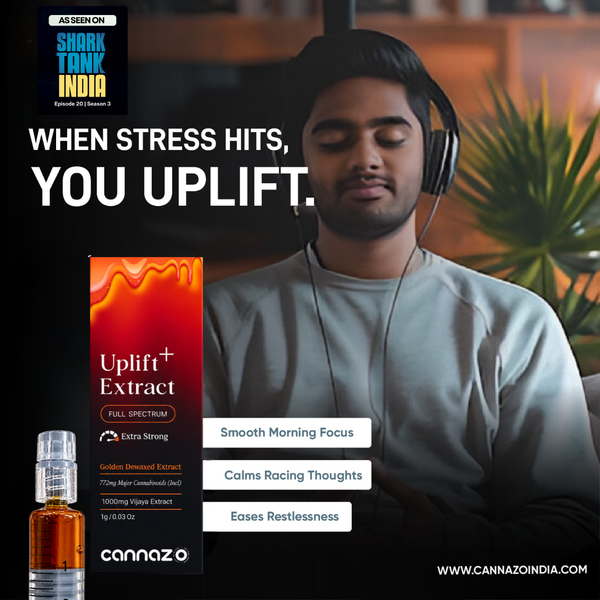 Uplift Plus: Strong Full-Spectrum Extract for Chronic Pain, De-Addiction and Insomnia