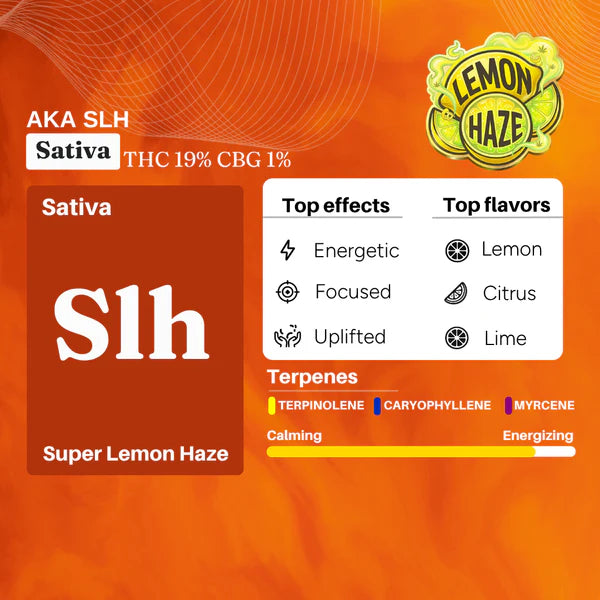 リニューアル濃度up⭐︎CRDP 1ml Super Lemon Haze Cannazo-Super Lemon Haze Uplift Pen (Full Spectrum THC Extract