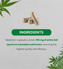 MEDICANN- Cannabis Leaf Extract Capsule